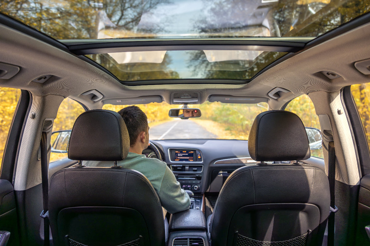 Interior of a car with a panoramic sunroof and black seats, showing a driver enjoying an autumn view, highlighting the need for protective seat covers.